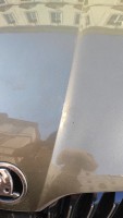 1742478934255.jpg